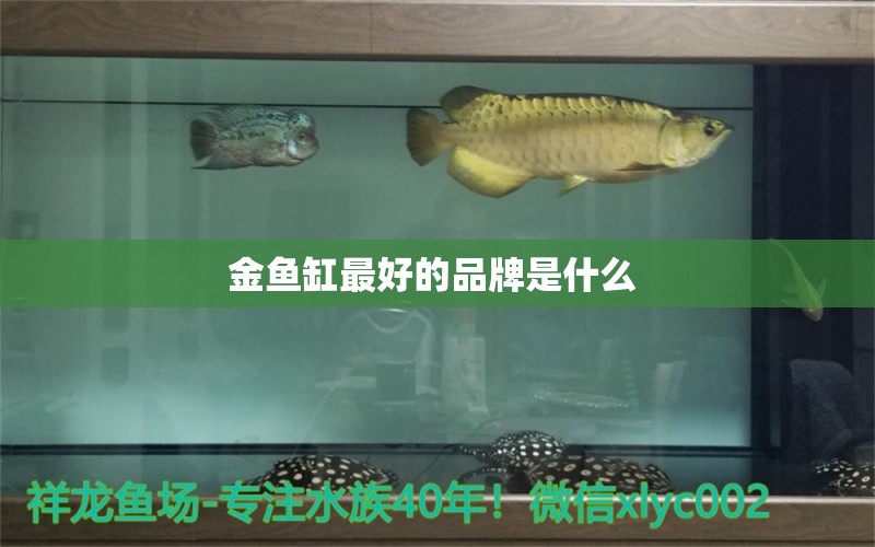 金鱼缸最好的品牌是什么  观赏鱼水族批发市场