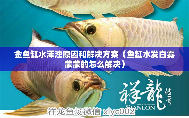 金鱼缸水浑浊原因和解决方案（鱼缸水发白雾蒙蒙的怎么解决）