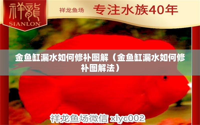 金鱼缸漏水如何修补图解（金鱼缸漏水如何修补图解法） 观赏鱼批发