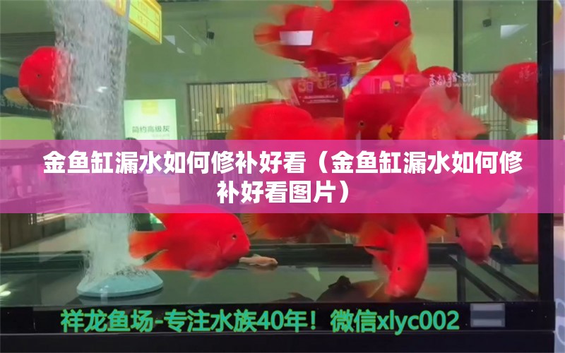 金鱼缸漏水如何修补好看（金鱼缸漏水如何修补好看图片）