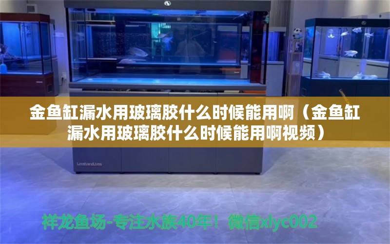 金鱼缸漏水用玻璃胶什么时候能用啊（金鱼缸漏水用玻璃胶什么时候能用啊视频）