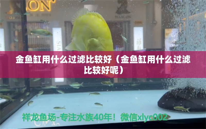 金鱼缸用什么过滤比较好（金鱼缸用什么过滤比较好呢）