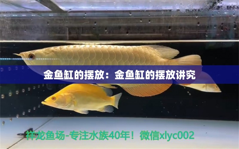 金鱼缸的摆放：金鱼缸的摆放讲究