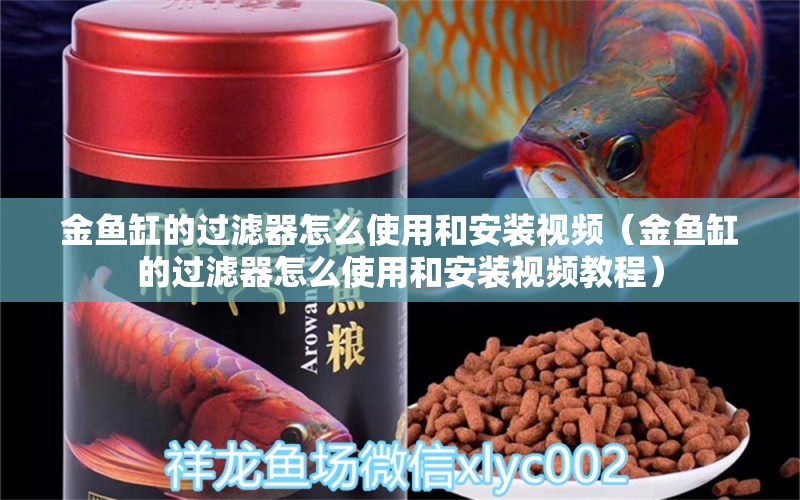 金鱼缸的过滤器怎么使用和安装视频（金鱼缸的过滤器怎么使用和安装视频教程） 祥龙水族医院