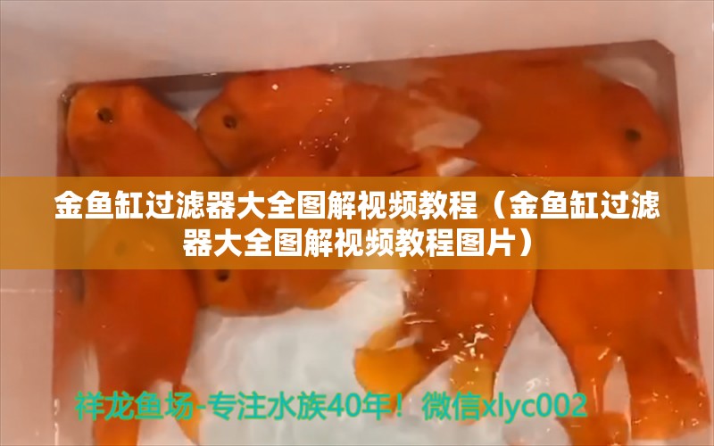 金鱼缸过滤器大全图解视频教程（金鱼缸过滤器大全图解视频教程图片） 冲氧泵