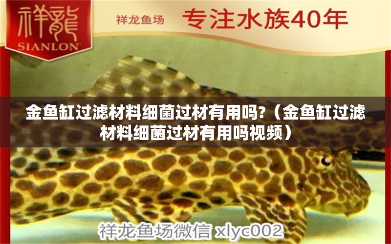 金鱼缸过滤材料细菌过材有用吗?（金鱼缸过滤材料细菌过材有用吗视频） 观赏鱼市场（混养鱼）