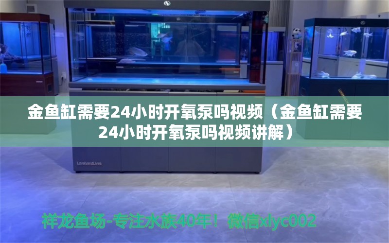 金鱼缸需要24小时开氧泵吗视频（金鱼缸需要24小时开氧泵吗视频讲解）