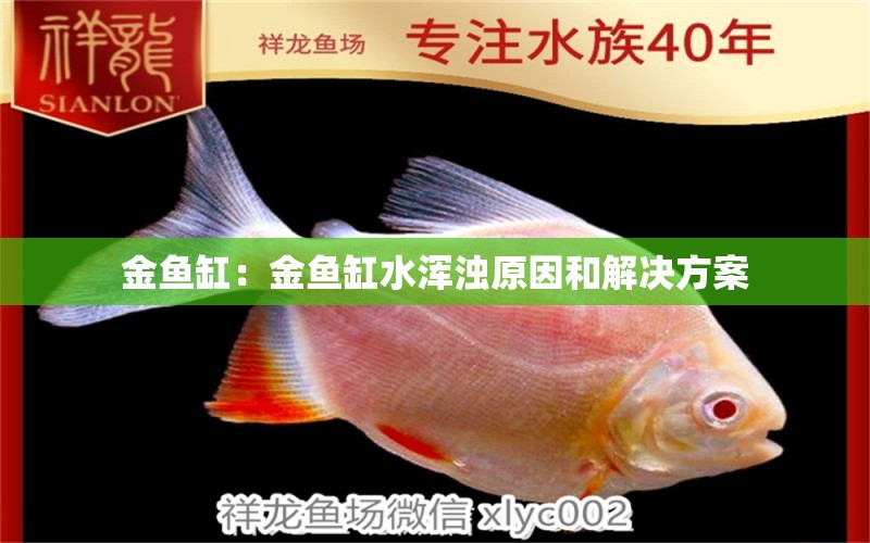 金鱼缸：金鱼缸水浑浊原因和解决方案