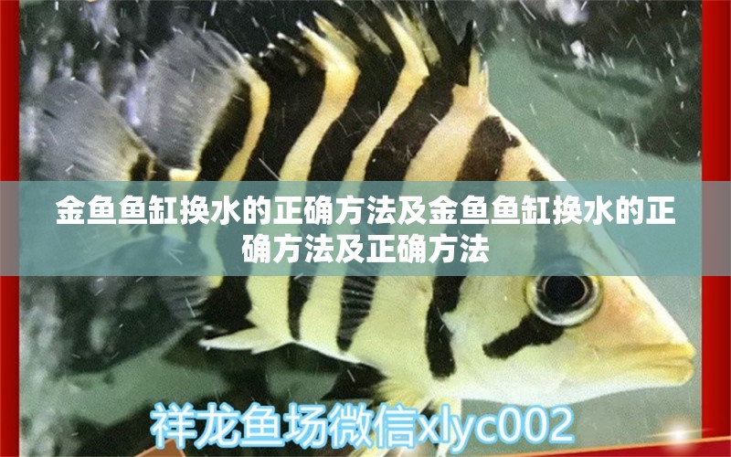 金鱼鱼缸换水的正确方法及金鱼鱼缸换水的正确方法及正确方法