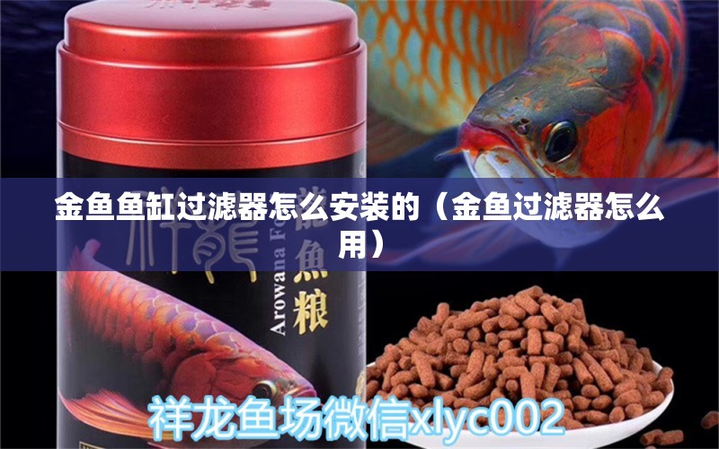 金鱼鱼缸过滤器怎么安装的（金鱼过滤器怎么用）