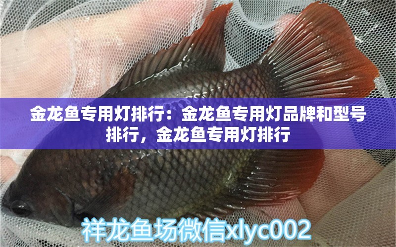 金龙鱼专用灯排行：金龙鱼专用灯品牌和型号排行，金龙鱼专用灯排行