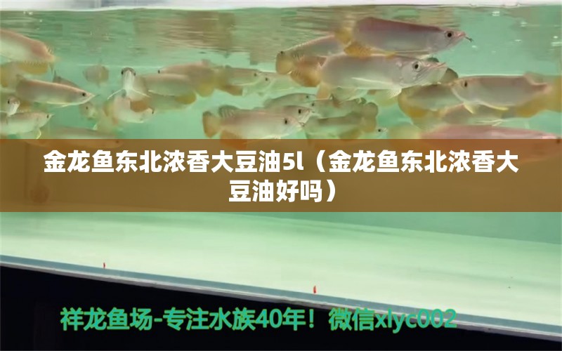 金龙鱼东北浓香大豆油5l（金龙鱼东北浓香大豆油好吗）