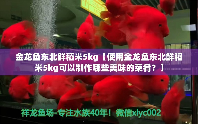 金龙鱼东北鲜稻米5kg【使用金龙鱼东北鲜稻米5kg可以制作哪些美味的菜肴？】 水族问答 第1张