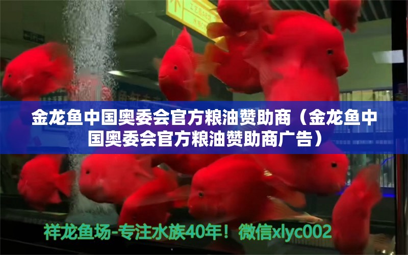 金龙鱼中国奥委会官方粮油赞助商（金龙鱼中国奥委会官方粮油赞助商广告）