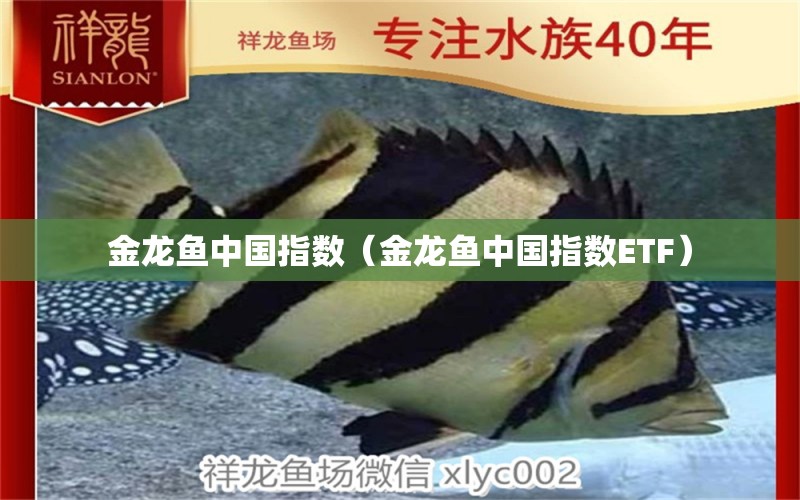 金龙鱼中国指数（金龙鱼中国指数ETF） 祥龙水族医院