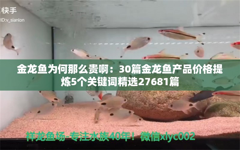 金龙鱼为何那么贵啊：30篇金龙鱼产品价格提炼5个关键词精选27681篇