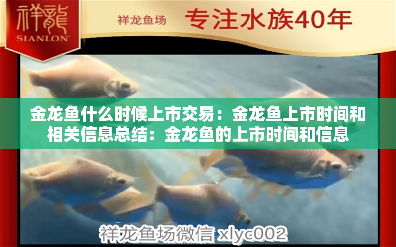 金龙鱼什么时候上市交易：金龙鱼上市时间和相关信息总结：金龙鱼的上市时间和信息 龙鱼百科 第2张