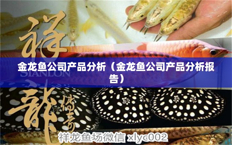 金龙鱼公司产品分析（金龙鱼公司产品分析报告） 祥龙龙鱼专用水族灯