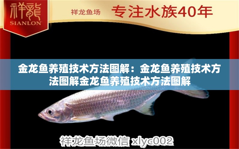 金龙鱼养殖技术方法图解：金龙鱼养殖技术方法图解金龙鱼养殖技术方法图解