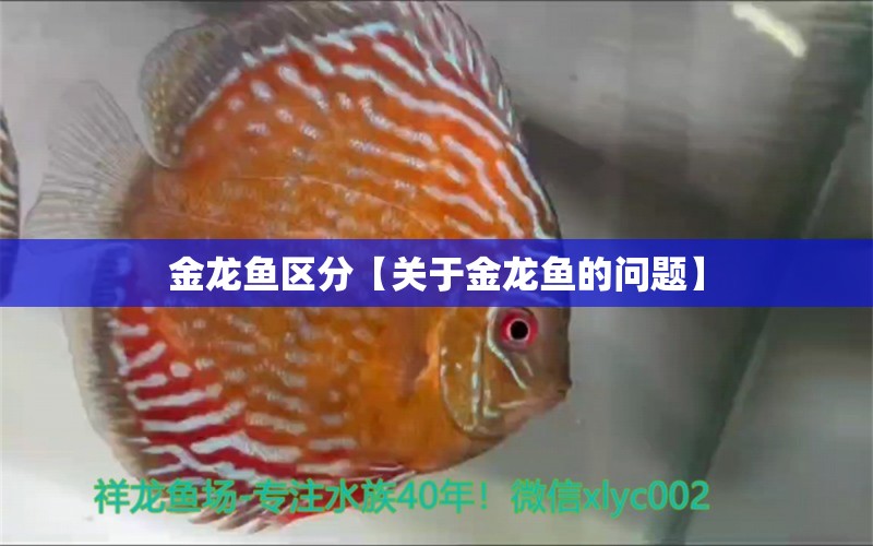 金龙鱼区分【关于金龙鱼的问题】 水族问答 第1张