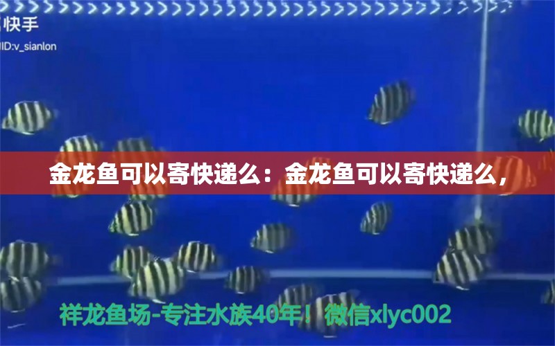 金龙鱼可以寄快递么：金龙鱼可以寄快递么，