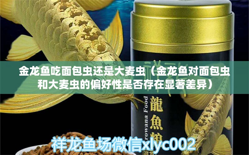 金龙鱼吃面包虫还是大麦虫（金龙鱼对面包虫和大麦虫的偏好性是否存在显著差异） 水族问答 第1张