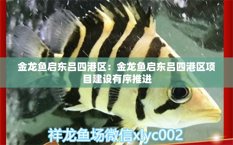 金龙鱼启东吕四港区：金龙鱼启东吕四港区项目建设有序推进