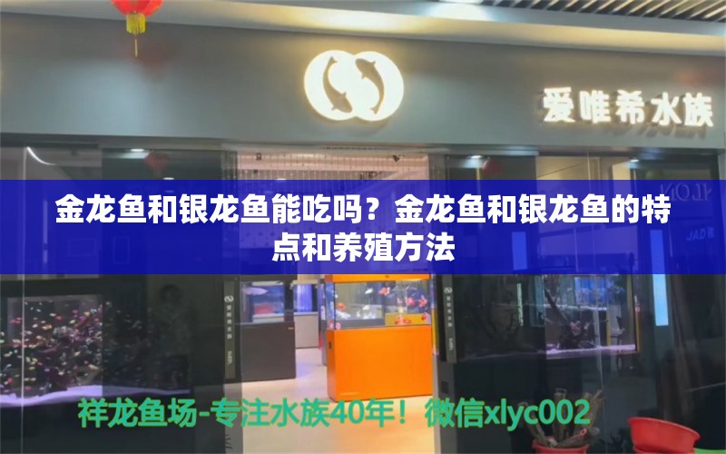 金龙鱼和银龙鱼能吃吗？金龙鱼和银龙鱼的特点和养殖方法