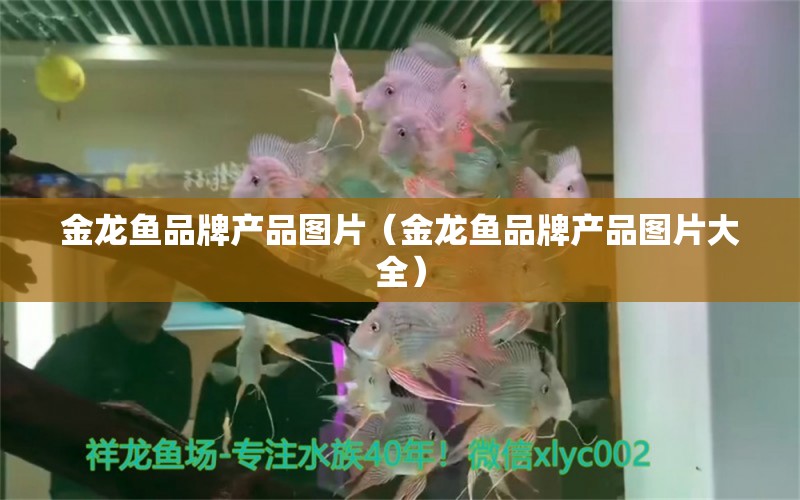 金龙鱼品牌产品图片（金龙鱼品牌产品图片大全） 祥龙水族医院