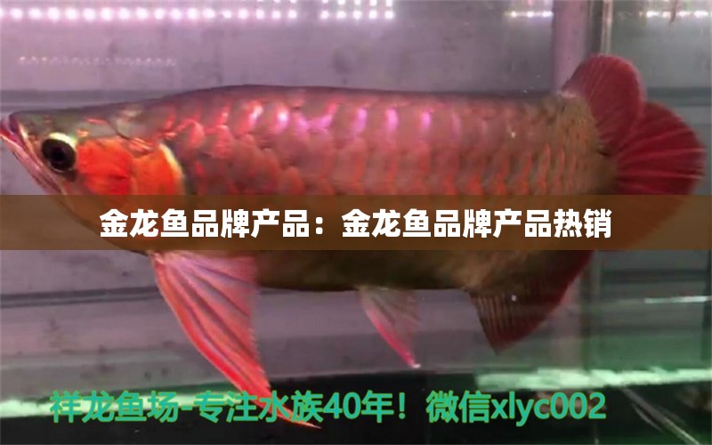 金龙鱼品牌产品：金龙鱼品牌产品热销 水族维护服务（上门）