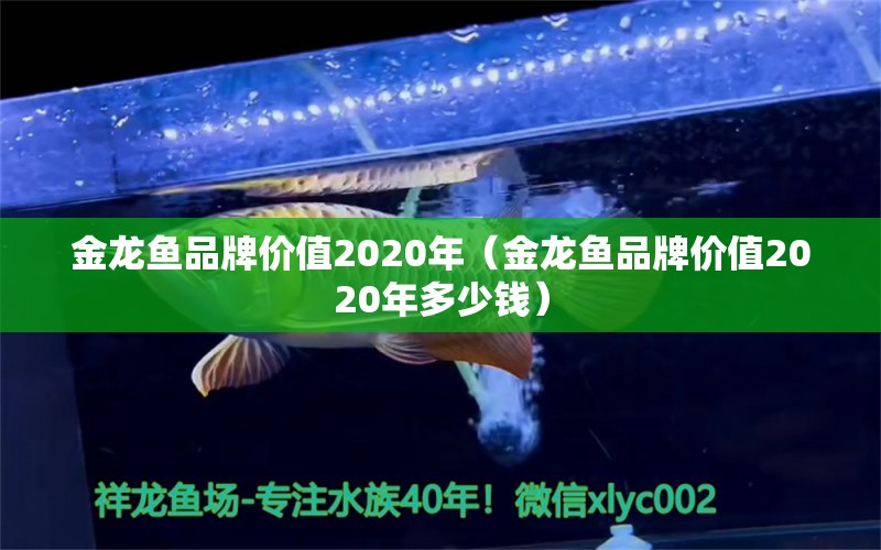 金龙鱼品牌价值2020年（金龙鱼品牌价值2020年多少钱）