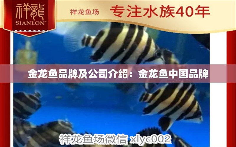 金龙鱼品牌及公司介绍：金龙鱼中国品牌 水族维护服务（上门）