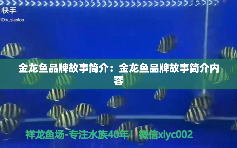 金龙鱼品牌故事简介：金龙鱼品牌故事简介内容