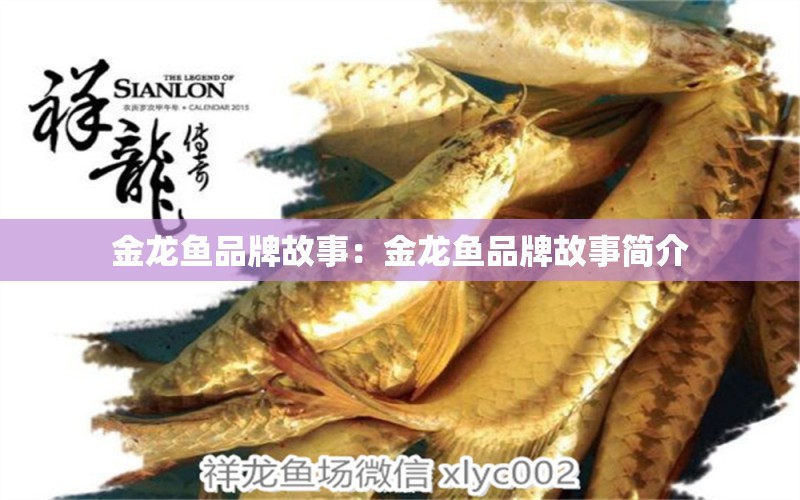 金龙鱼品牌故事：金龙鱼品牌故事简介 广州龙鱼批发市场