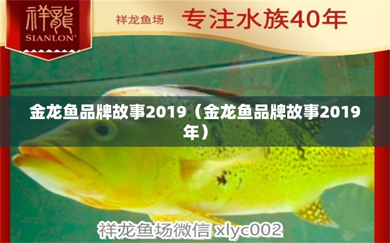 金龙鱼品牌故事2019（金龙鱼品牌故事2019年）