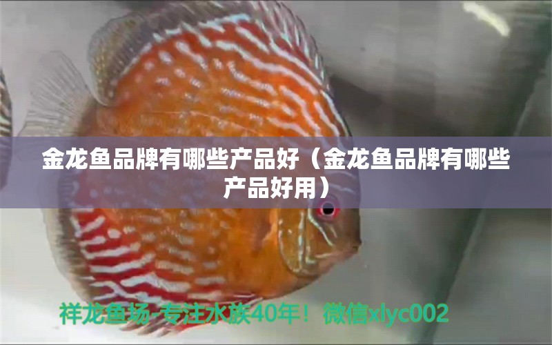 金龙鱼品牌有哪些产品好（金龙鱼品牌有哪些产品好用） 其他品牌鱼缸