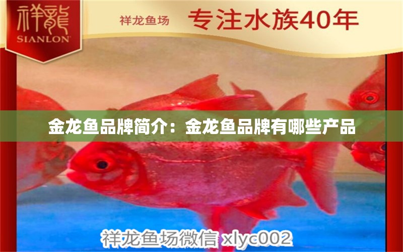 金龙鱼品牌简介：金龙鱼品牌有哪些产品 祥龙水族医院 第2张