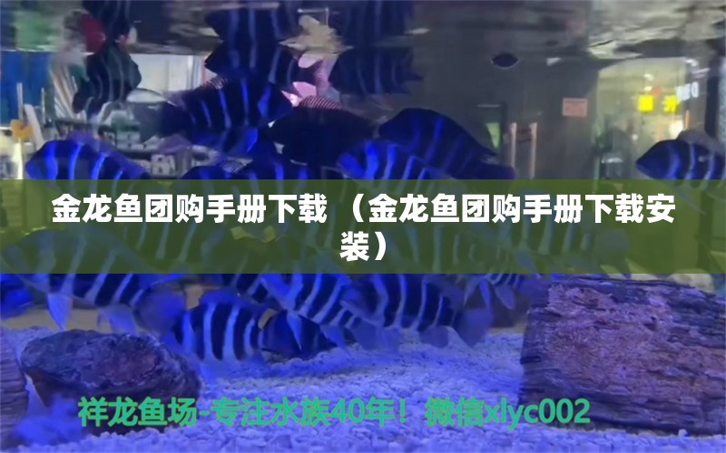 金龙鱼团购手册下载 （金龙鱼团购手册下载安装）