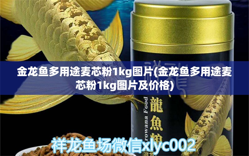 金龙鱼多用途麦芯粉1kg图片(金龙鱼多用途麦芯粉1kg图片及价格) 蓝帆三间鱼