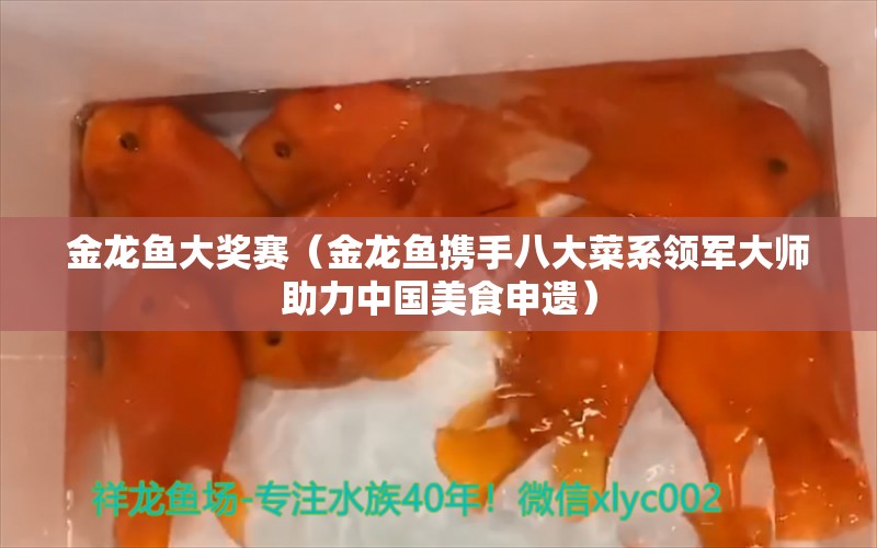 金龙鱼大奖赛（金龙鱼携手八大菜系领军大师助力中国美食申遗） 广州观赏鱼批发市场