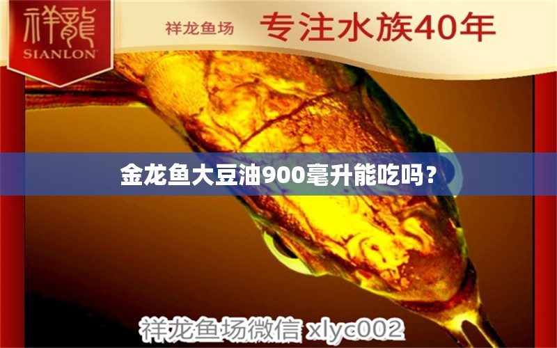 金龙鱼大豆油900毫升能吃吗？