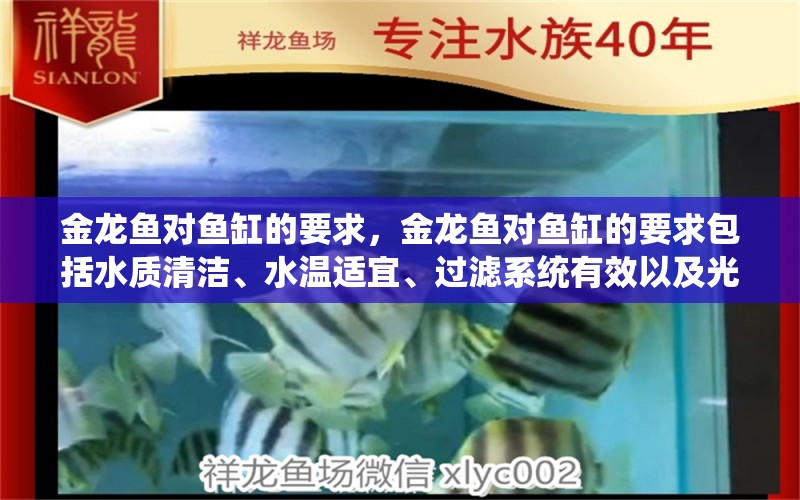 金龙鱼对鱼缸的要求，金龙鱼对鱼缸的要求包括水质清洁、水温适宜、过滤系统有效以及光照充足