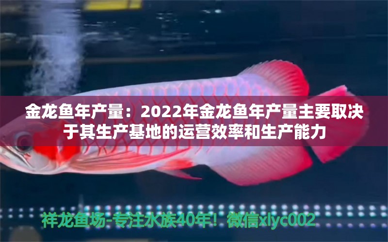 金龙鱼年产量：2022年金龙鱼年产量主要取决于其生产基地的运营效率和生产能力