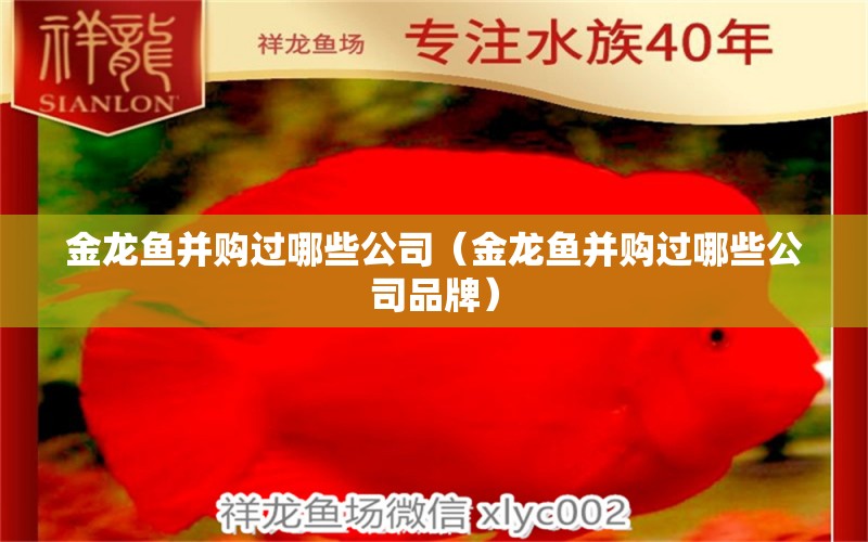 金龙鱼并购过哪些公司（金龙鱼并购过哪些公司品牌） 委内瑞拉奥里诺三间鱼