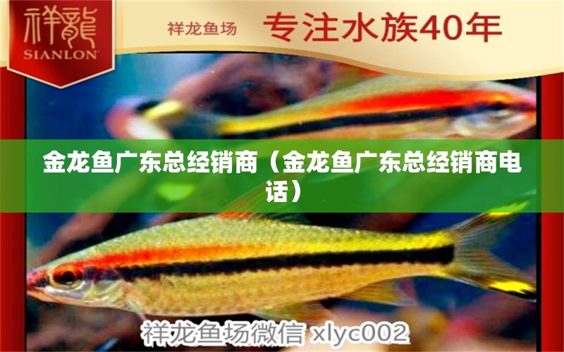 金龙鱼广东总经销商（金龙鱼广东总经销商电话） 祥龙水族医院