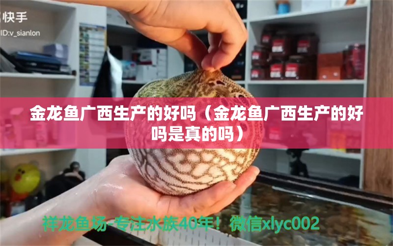 金龙鱼广西生产的好吗（金龙鱼广西生产的好吗是真的吗） 水温计