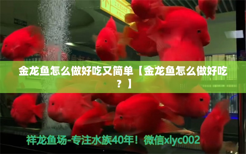 金龙鱼怎么做好吃又简单【金龙鱼怎么做好吃？】 水族问答 第1张