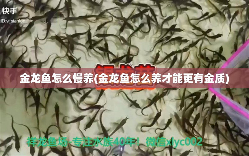 金龙鱼怎么慢养(金龙鱼怎么养才能更有金质) 观赏虾蟹等饲料