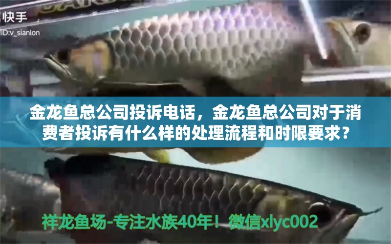 金龙鱼总公司投诉电话，金龙鱼总公司对于消费者投诉有什么样的处理流程和时限要求？