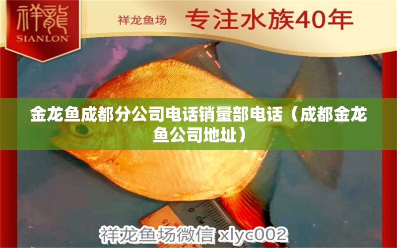 金龙鱼成都分公司电话销量部电话（成都金龙鱼公司地址） 祥龙水族医院